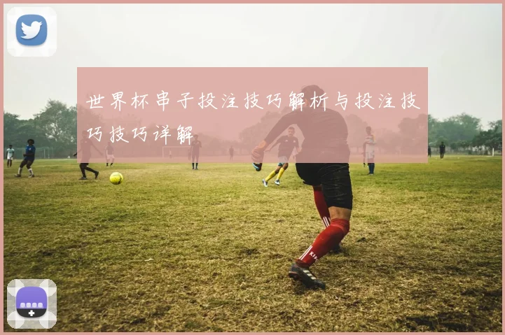 世界杯串子投注技巧解析与投注技巧技巧详解